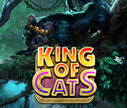 King of Cats