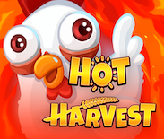 Hot Harvest